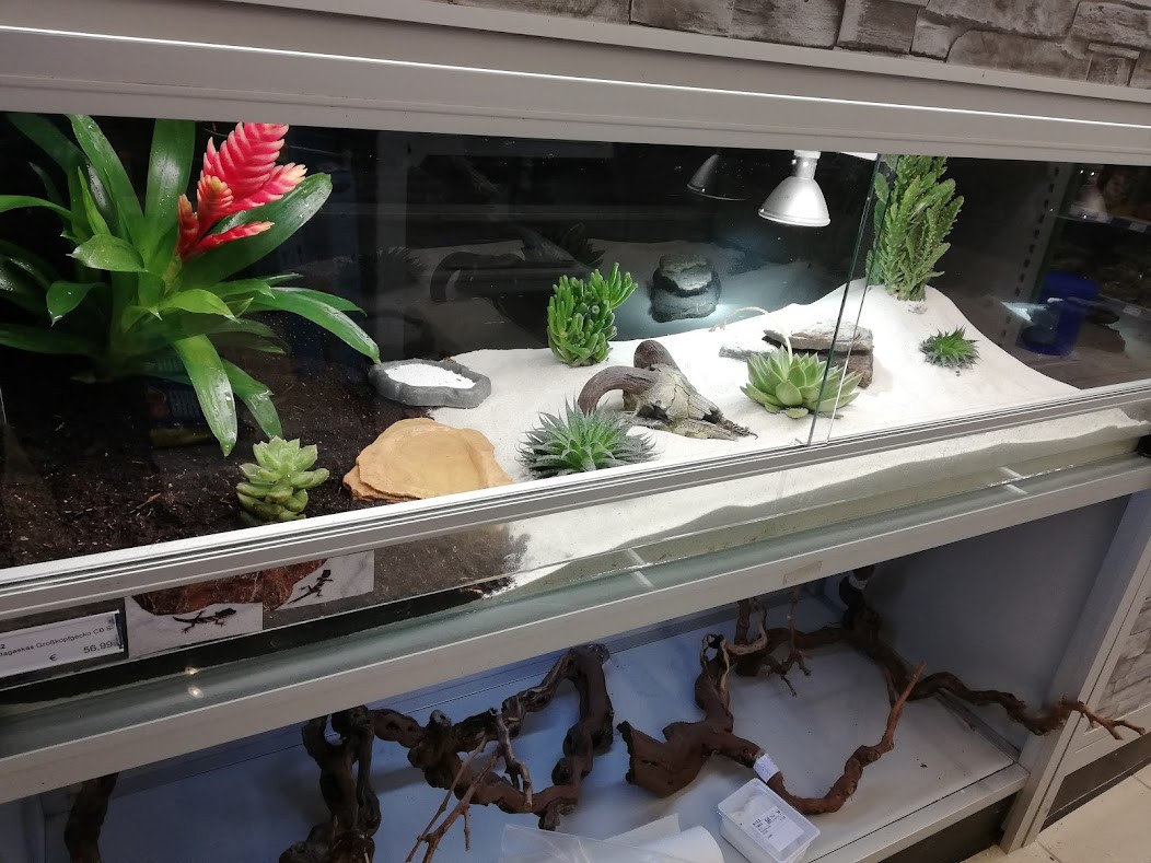 Terrarien von Pet’s Royal