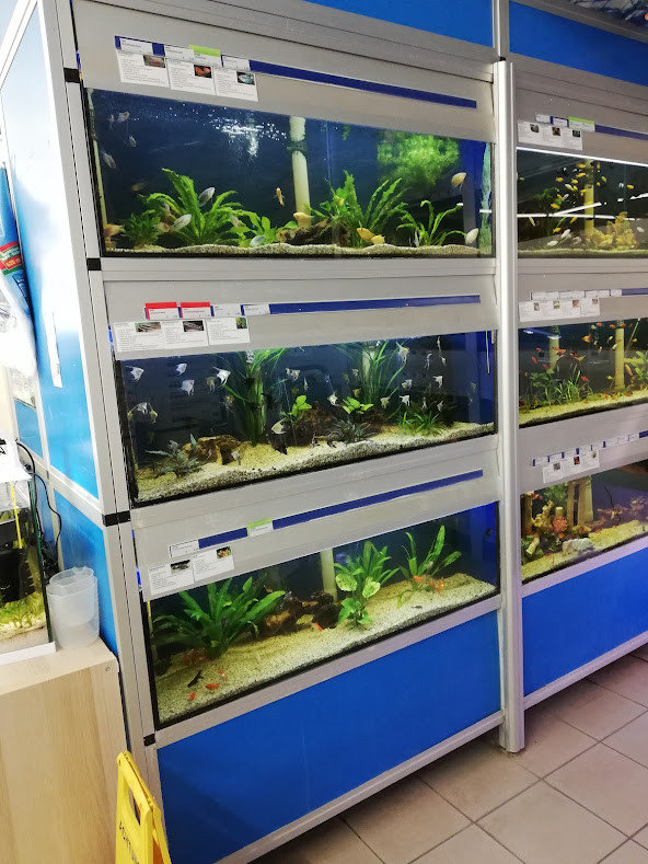 Aquarium von Pet’s Royal